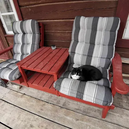 Pikk Taenav Viljandi (Viljandimaa)